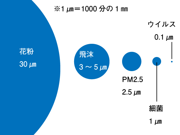 粒子の大きさ比較